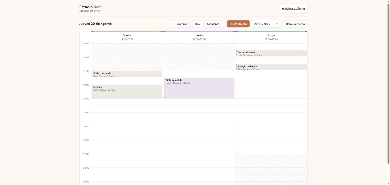 Captura de la agenda de citas de Estudio Raíz